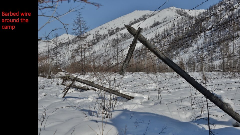 Barbed wire around the camp 