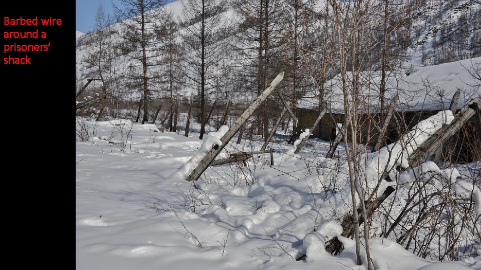 Barbed wire around a prisoners’ shack 