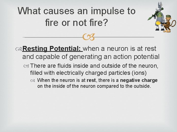 What causes an impulse to fire or not fire? Resting Potential: when a neuron