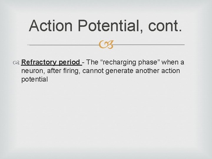 Action Potential, cont. Refractory period - The “recharging phase” when a neuron, after firing,