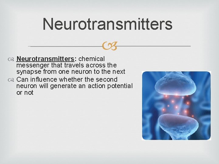 Neurotransmitters: chemical messenger that travels across the synapse from one neuron to the next