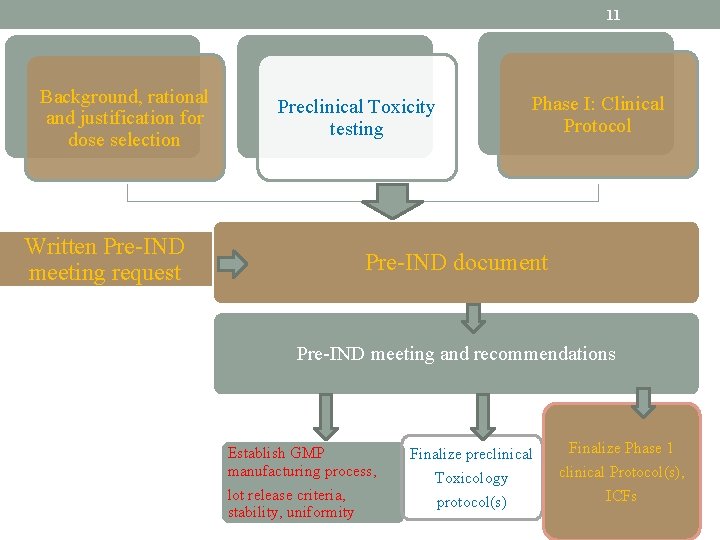 11 Background, rational and justification for dose selection Preclinical Toxicity testing Written Pre-IND meeting