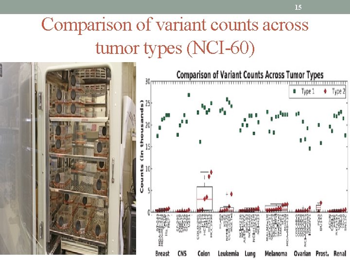 15 Comparison of variant counts across tumor types (NCI-60) 