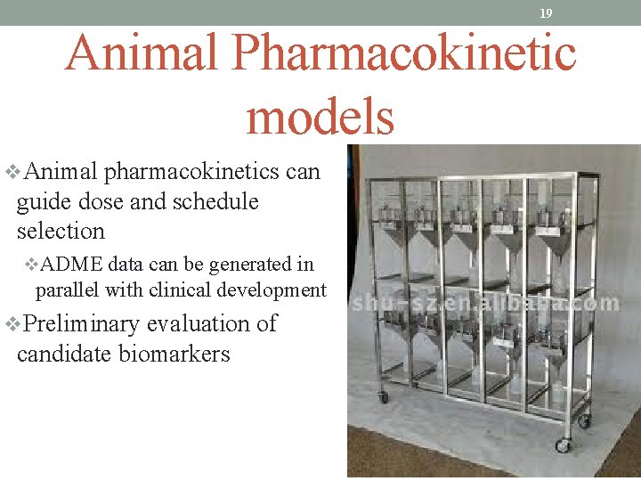 19 Animal Pharmacokinetic models v. Animal pharmacokinetics can guide dose and schedule selection v.