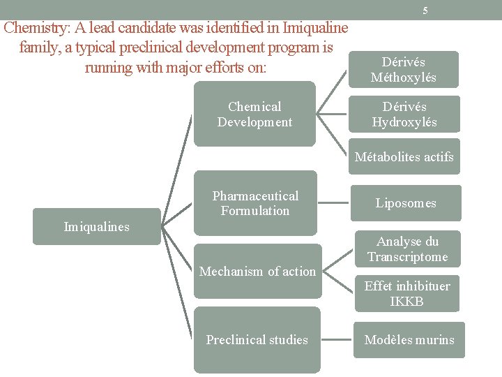 5 Chemistry: A lead candidate was identified in Imiqualine family, a typical preclinical development