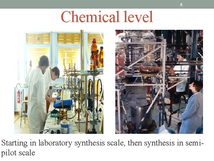 6 Chemical level Starting in laboratory synthesis scale, then synthesis in semipilot scale 