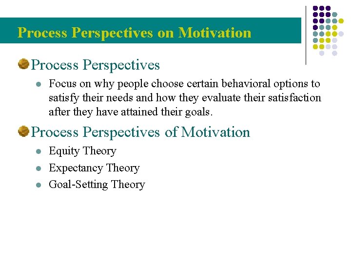 Process Perspectives on Motivation Process Perspectives l Focus on why people choose certain behavioral