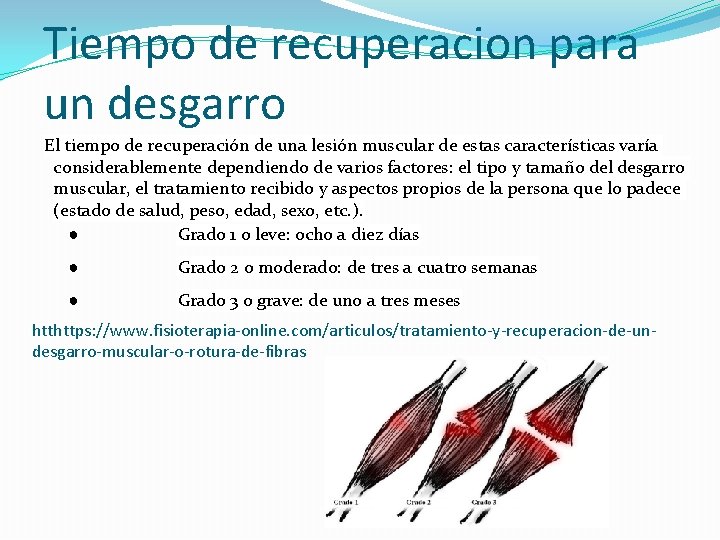 Tiempo de recuperacion para un desgarro El tiempo de recuperación de una lesión muscular