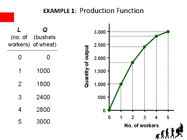 EXAMPLE 1: Production Function Q (no. of (bushels workers) of wheat) 3, 000 Quantity