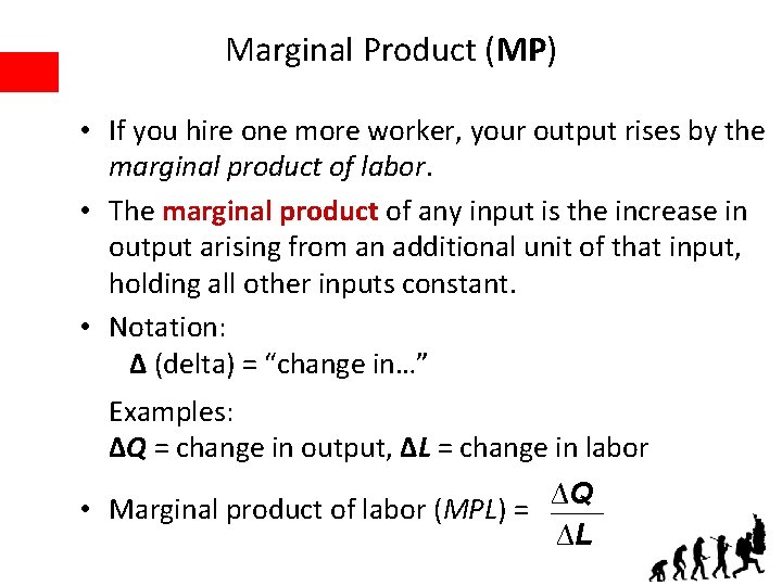 Marginal Product (MP) • If you hire one more worker, your output rises by