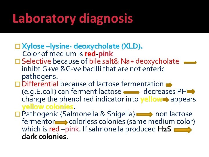 Laboratory diagnosis � Xylose –lysine- deoxycholate (XLD). Color of medium is red-pink � Selective