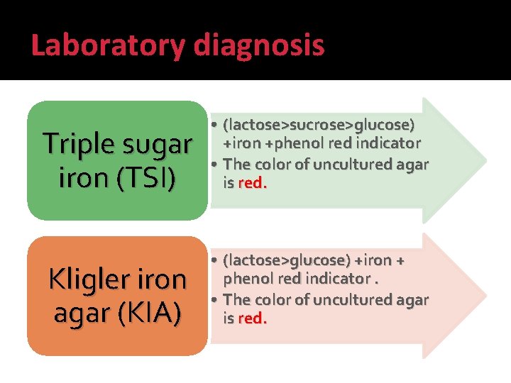 Laboratory diagnosis Triple sugar iron (TSI) • (lactose>sucrose>glucose) +iron +phenol red indicator • The