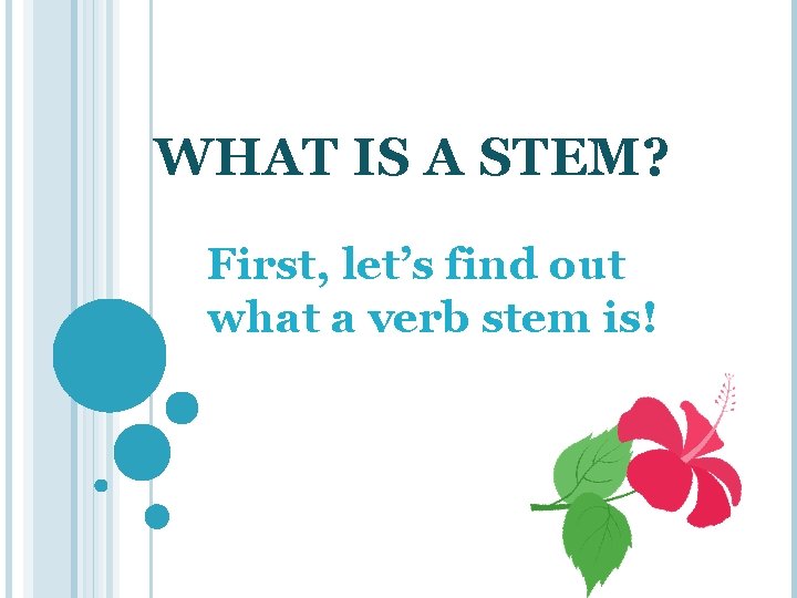 WHAT IS A STEM? First, let’s find out what a verb stem is! 