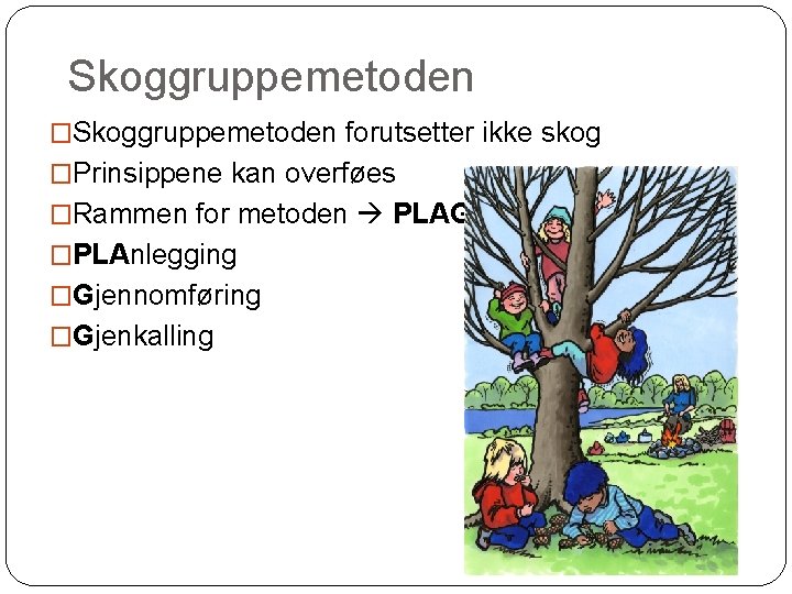 Skoggruppemetoden �Skoggruppemetoden forutsetter ikke skog �Prinsippene kan overføes �Rammen for metoden PLAGG �PLAnlegging �Gjennomføring