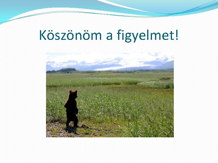 Köszönöm a figyelmet! 