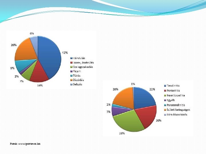Forrás: www. sportorvos. hu 