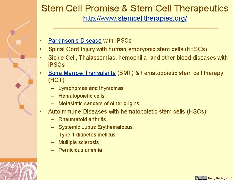 Stem Cell Promise & Stem Cell Therapeutics http: //www. stemcelltherapies. org/ • • Parkinson’s