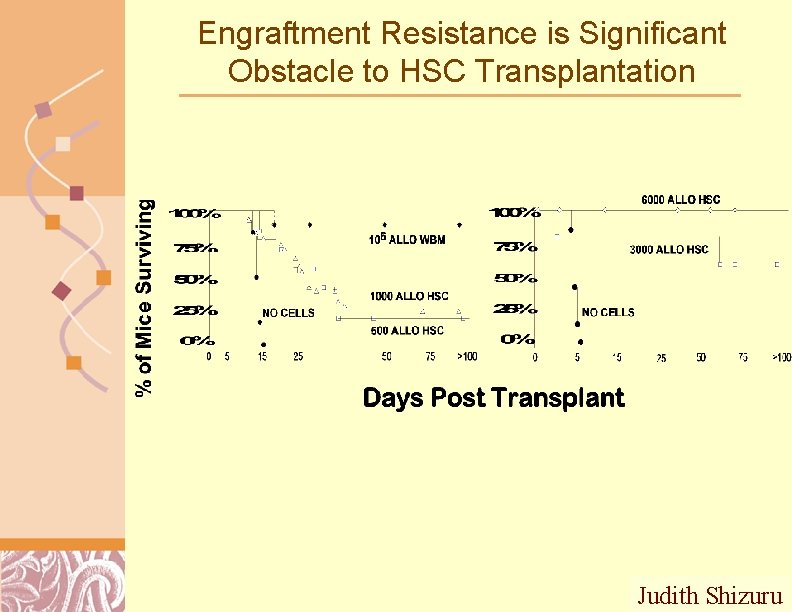 Engraftment Resistance is Significant Obstacle to HSC Transplantation Judith Shizuru Doug Brutlag 2011 