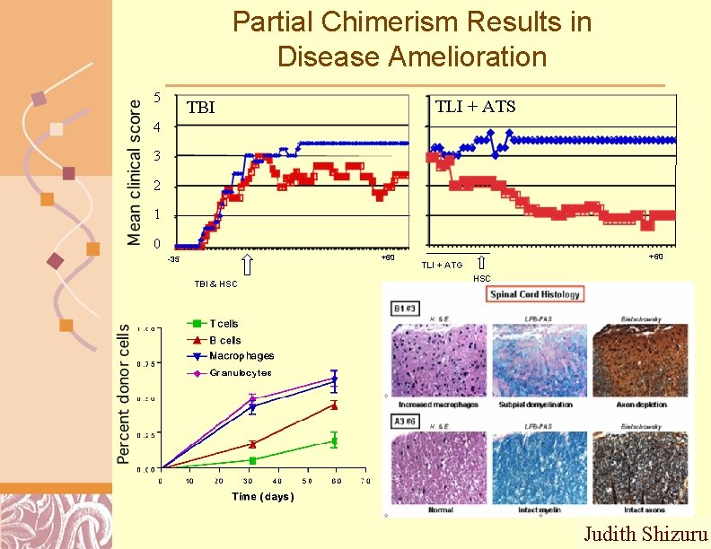 Partial Chimerism Results in Disease Amelioration 5 4 3 2 5 TLI + ATS
