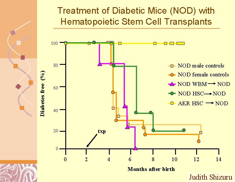 Treatment of Diabetic Mice (NOD) with Hematopoietic Stem Cell Transplants 100 NOD male controls