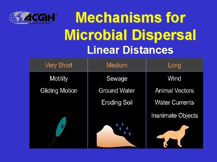 Mechanisms for Microbial Dispersal Linear Distances 