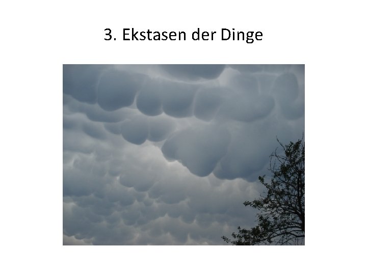 3. Ekstasen der Dinge 