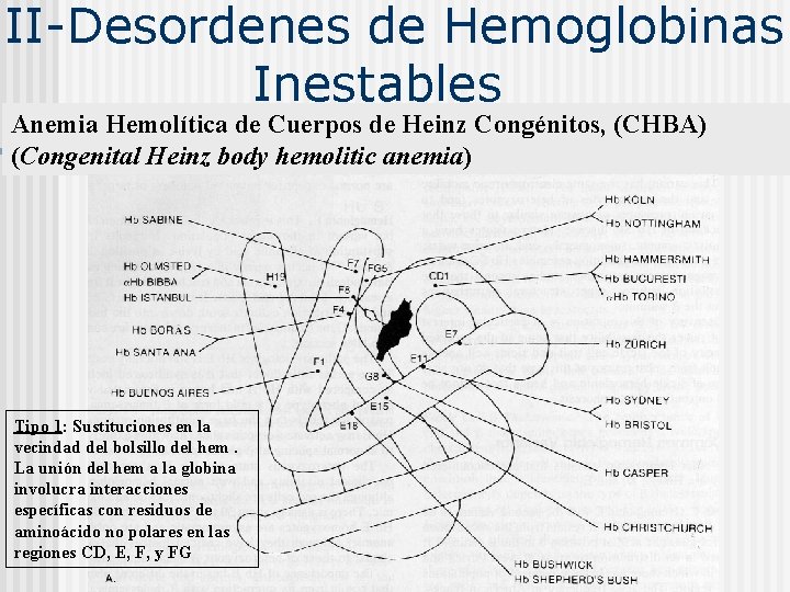  II-Desordenes de Hemoglobinas Inestables Anemia Hemolítica de Cuerpos de Heinz Congénitos, (CHBA) (Congenital