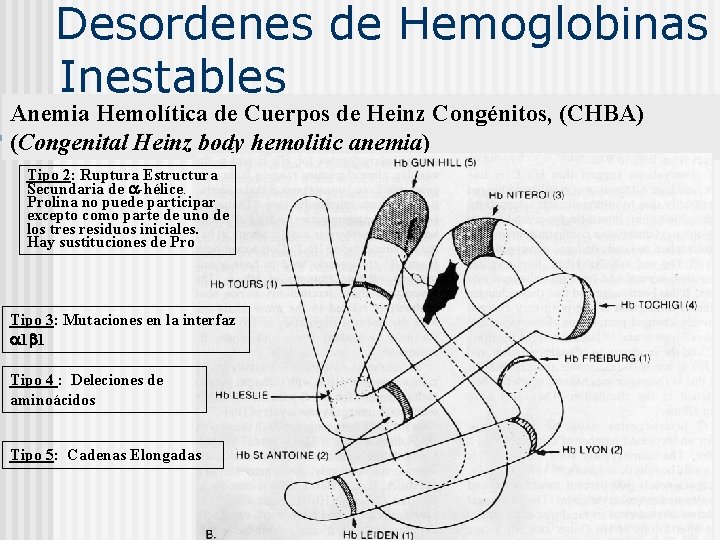  Desordenes de Hemoglobinas Inestables Anemia Hemolítica de Cuerpos de Heinz Congénitos, (CHBA) (Congenital