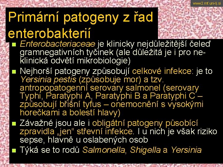 www 2. mf. uni-lj. si Primární patogeny z řad enterobakterií n n Enterobacteriaceae je