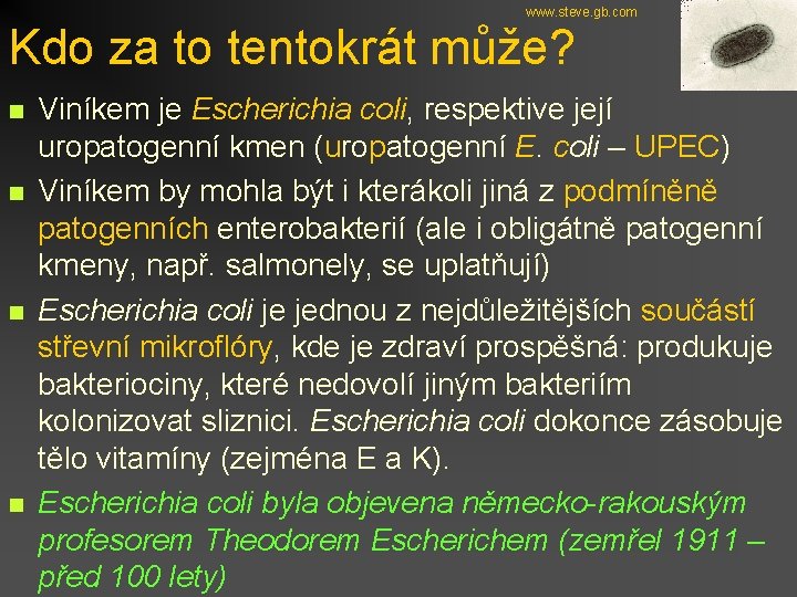 www. steve. gb. com Kdo za to tentokrát může? n n Viníkem je Escherichia