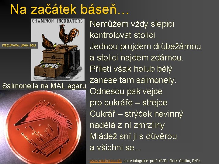 Na začátek báseň… Nemůžem vždy slepici kontrolovat stolici. http: //www. uwec. edu Jednou projdem