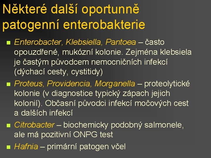 Některé další oportunně patogenní enterobakterie n n Enterobacter, Klebsiella, Pantoea – často opouzdřené, mukózní