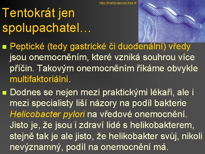 http: //vietsciences. free. fr Tentokrát jen spolupachatel… n n Peptické (tedy gastrické či duodenální)