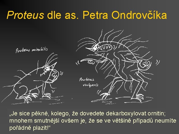 Proteus dle as. Petra Ondrovčíka „Je sice pěkné, kolego, že dovedete dekarboxylovat ornitin; mnohem