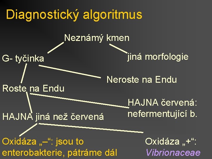 Diagnostický algoritmus Neznámý kmen jiná morfologie G- tyčinka Roste na Endu Neroste na Endu
