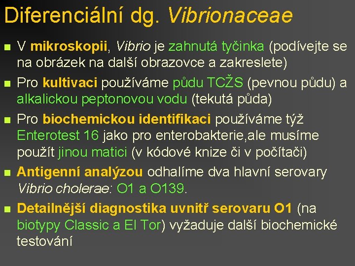 Diferenciální dg. Vibrionaceae n n n V mikroskopii, Vibrio je zahnutá tyčinka (podívejte se