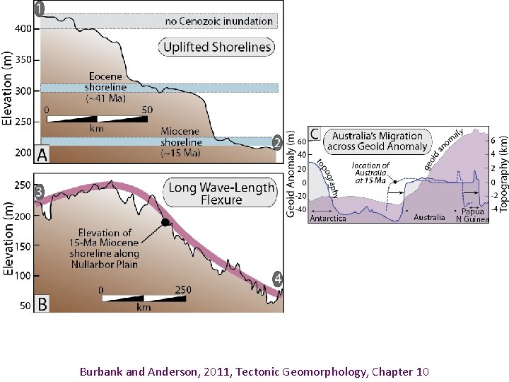 Burbank and Anderson, 2011, Tectonic Geomorphology, Chapter 10 
