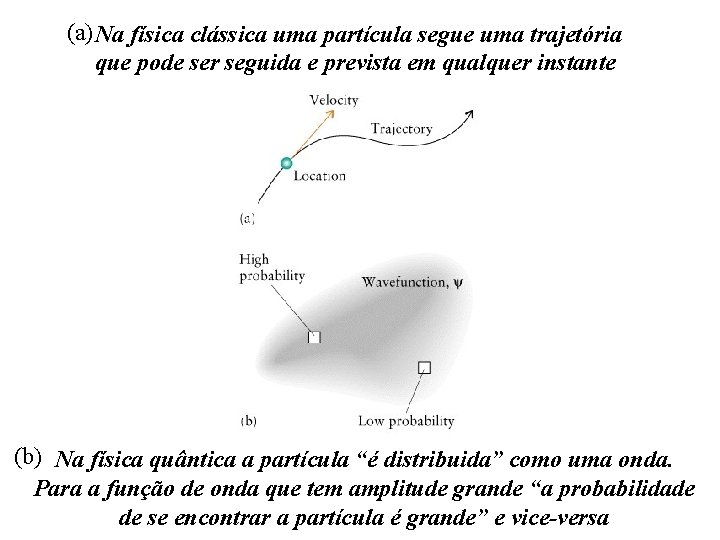 (a) Na física clássica uma partícula segue uma trajetória que pode ser seguida e