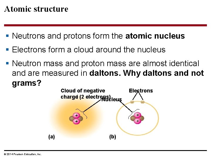 Atomic structure § Neutrons and protons form the atomic nucleus § Electrons form a