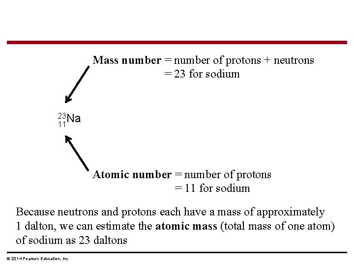 Mass number = number of protons + neutrons = 23 for sodium 23 Na