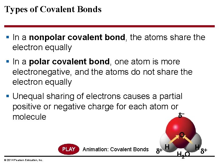 Types of Covalent Bonds § In a nonpolar covalent bond, the atoms share the