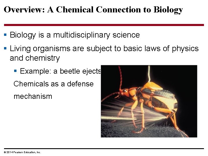 Overview: A Chemical Connection to Biology § Biology is a multidisciplinary science § Living