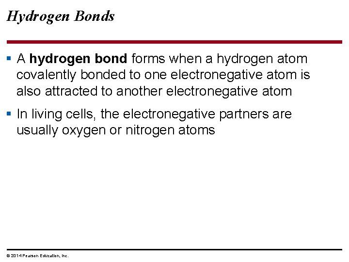 Hydrogen Bonds § A hydrogen bond forms when a hydrogen atom covalently bonded to