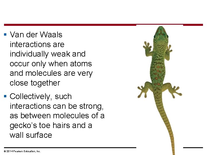 § Van der Waals interactions are individually weak and occur only when atoms and