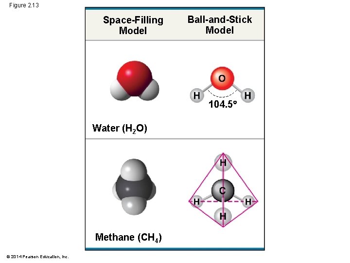 Figure 2. 13 Space-Filling Model Ball-and-Stick Model 104. 5 Water (H 2 O) Methane