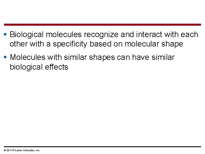 § Biological molecules recognize and interact with each other with a specificity based on