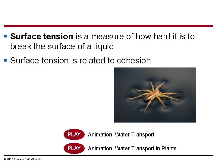 § Surface tension is a measure of how hard it is to break the