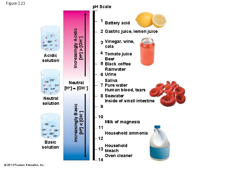 Figure 2. 23 p. H Scale Acidic solution Increasingly Acidic [H ] [OH−] 1