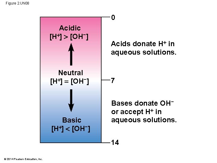 Figure 2. UN 08 0 Acidic [H ] [OH−] Neutral [H ] [OH−] Basic