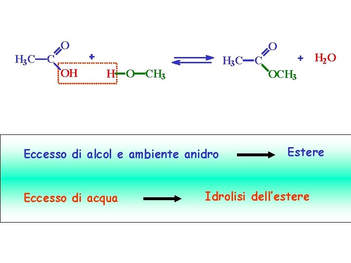 O H 3 C C OH O H 3 C C H O CH